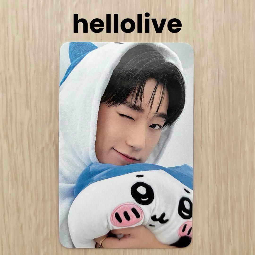 さわきた様 リクエスト 2点 まとめ商品