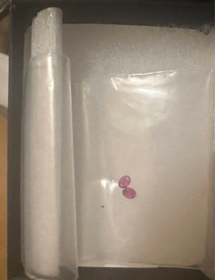 BACKLASH ブラックレザー ウォレットチェーン