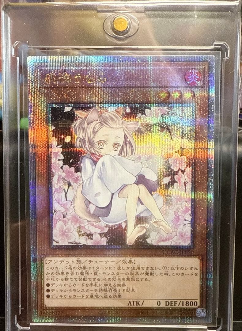 灰流うらら はるうらら　25th 絵違い　クオシク 遊戯王