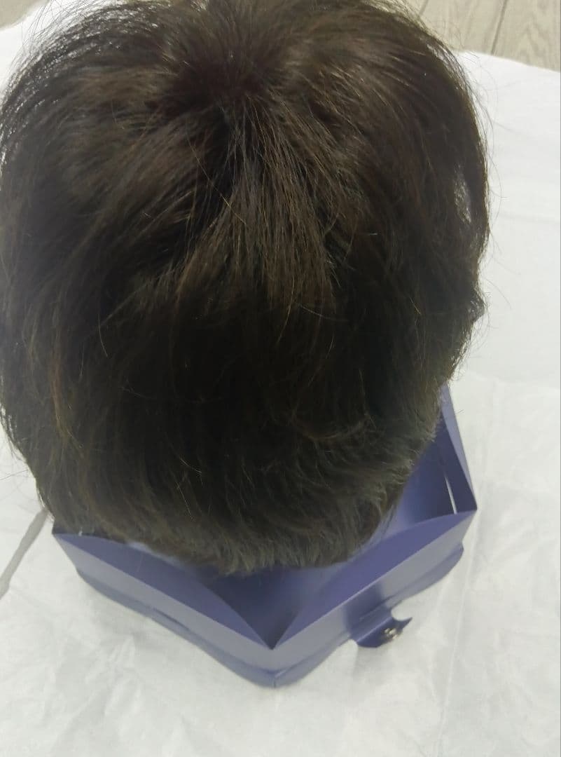 値下げ、ブラウン ショートウィッグ メッシュネット、ハーフ、Candy