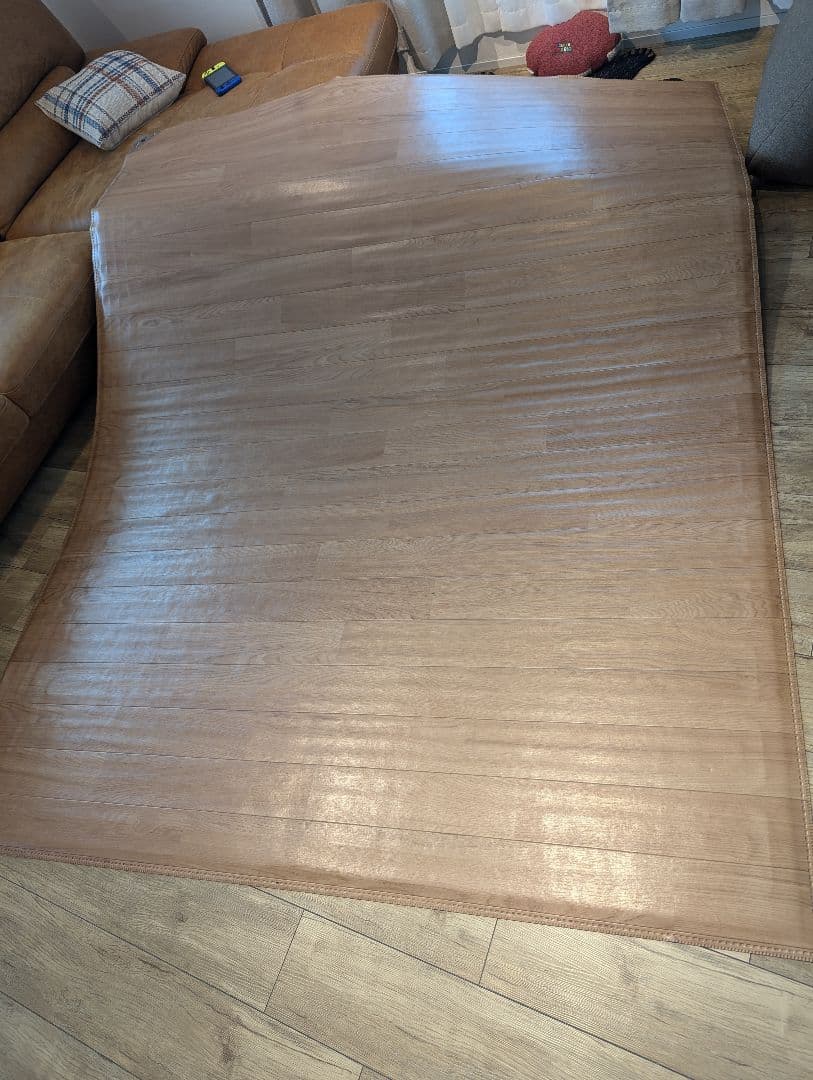 【☆さん専用】Panasonic かんたん床暖 DC-3V4R 3畳