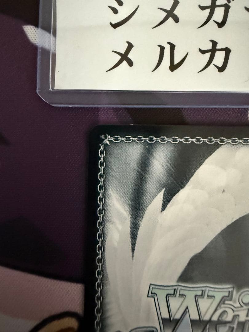 ショータイム　ブラン　SP、SSPセット