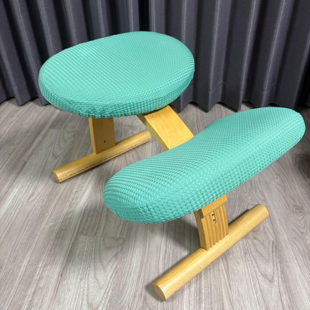 Balans Easy バランスチェア　サカモトハウス 水色　カバー付