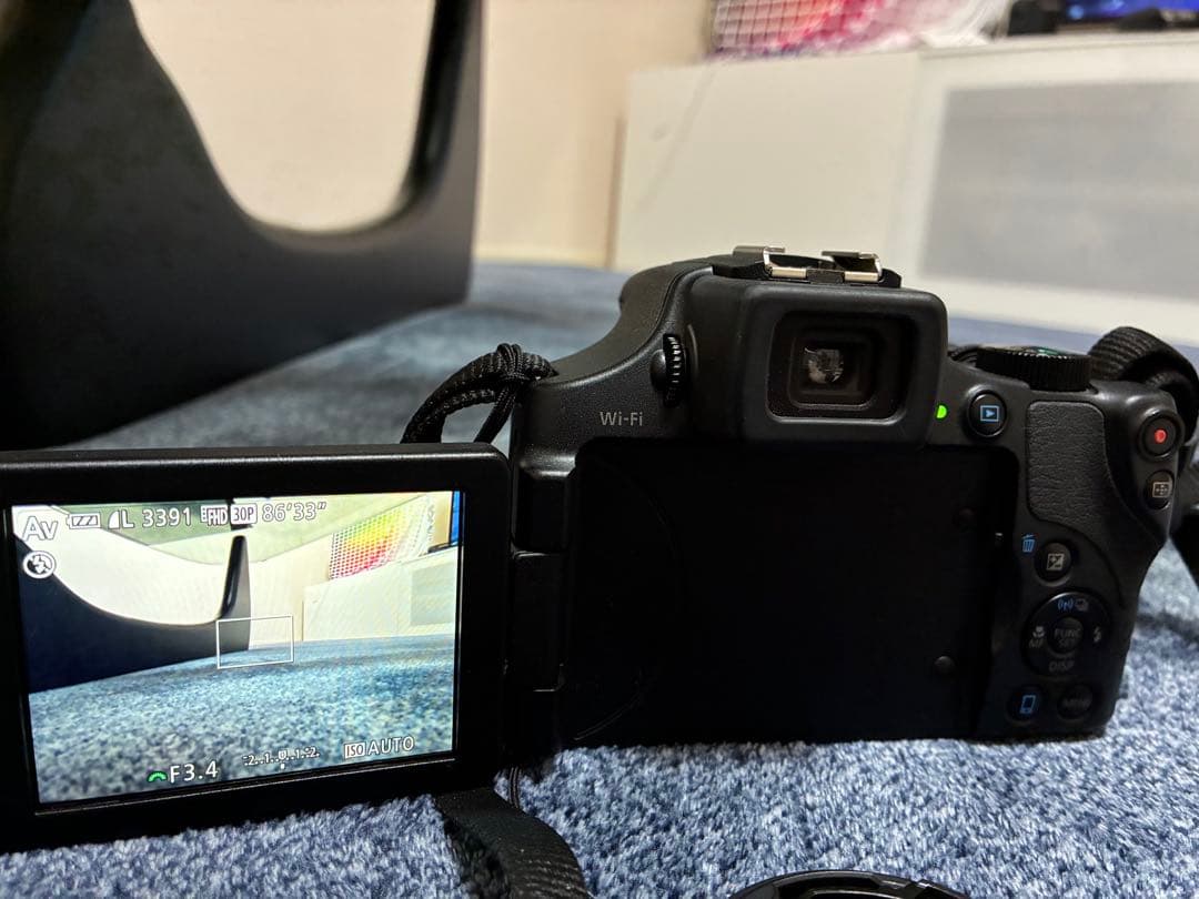 イソシギ(2/13まで) Canon Power Shot sx60hs