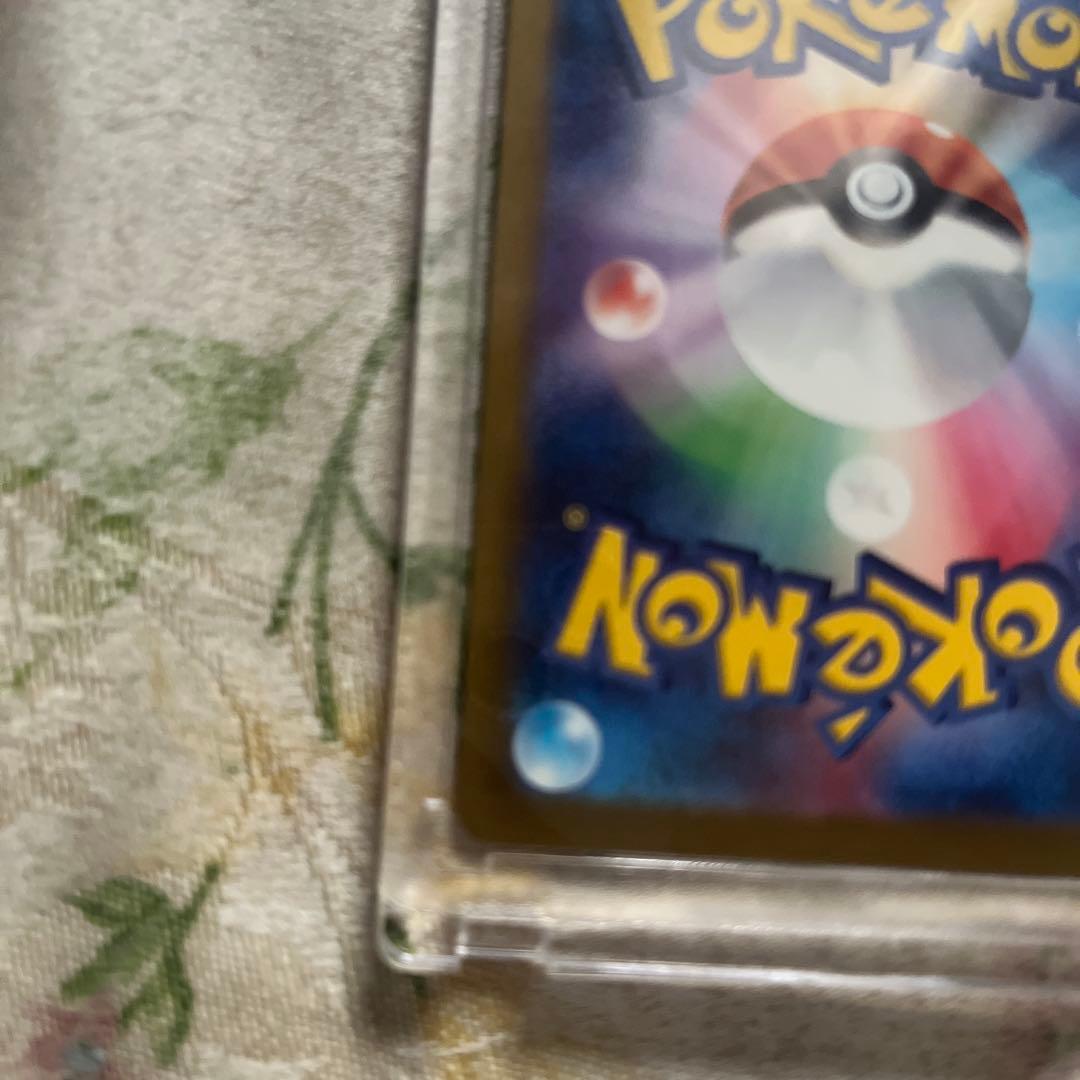 N*o様 中国語エラーメガカイリュー＆メガチャンブル2枚セット