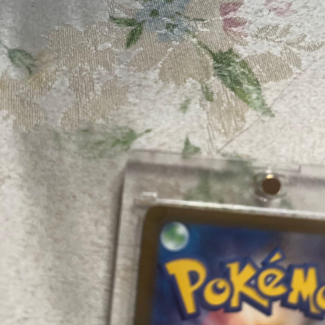 N*o様 中国語エラーメガカイリュー＆メガチャンブル2枚セット