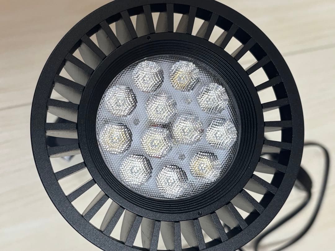 Grassy Ledio RX122s Deep ①