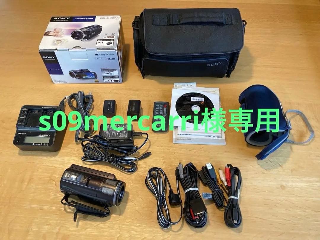 専用　SONY HDR-CX560Vと専用ポーチ、SPK-HCGスポーツパック