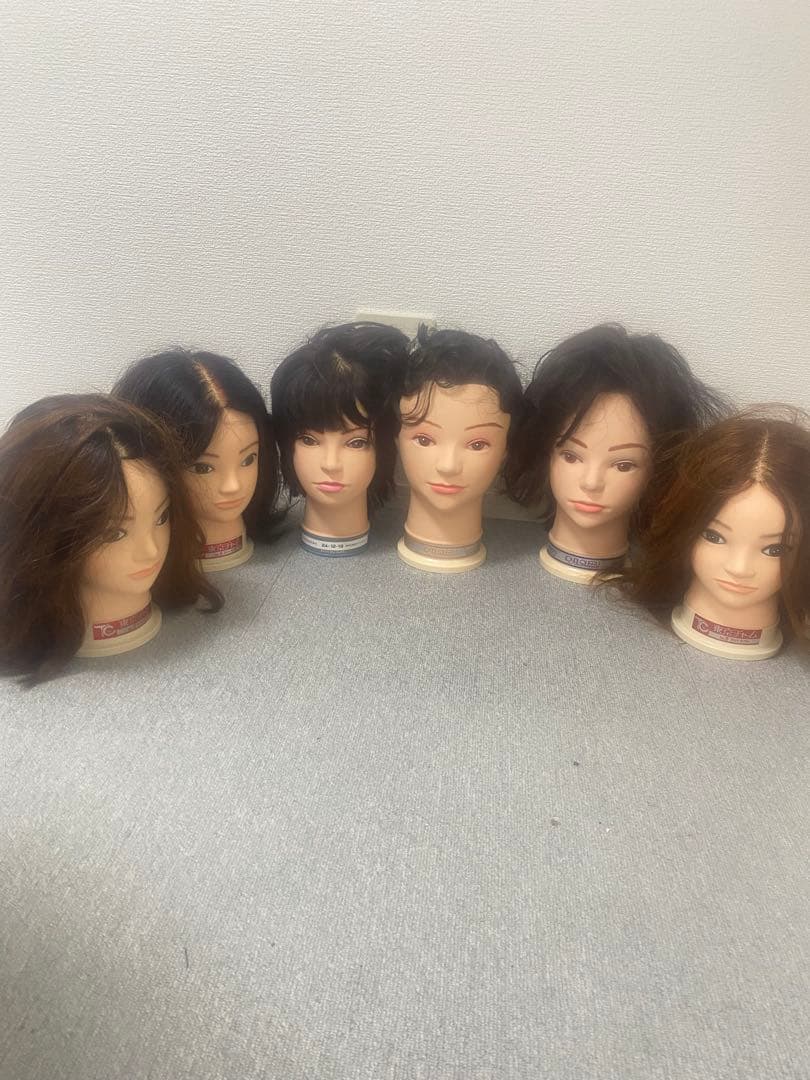 練習用　美容師実技試験対応　6体