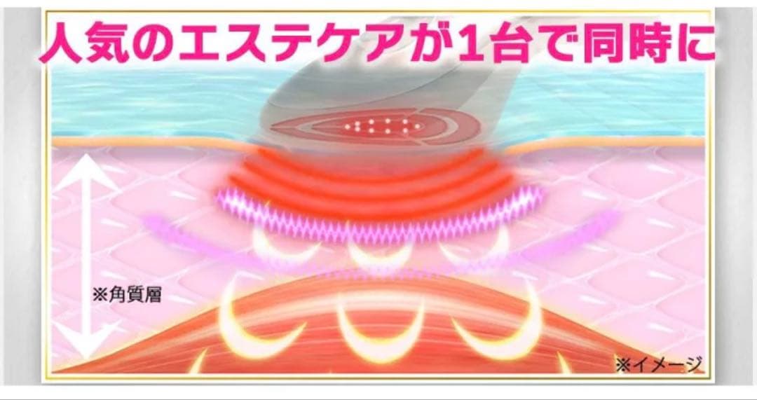 極美品★IKKOプロデュース MEラボン エクラ/EP エステEMS RF