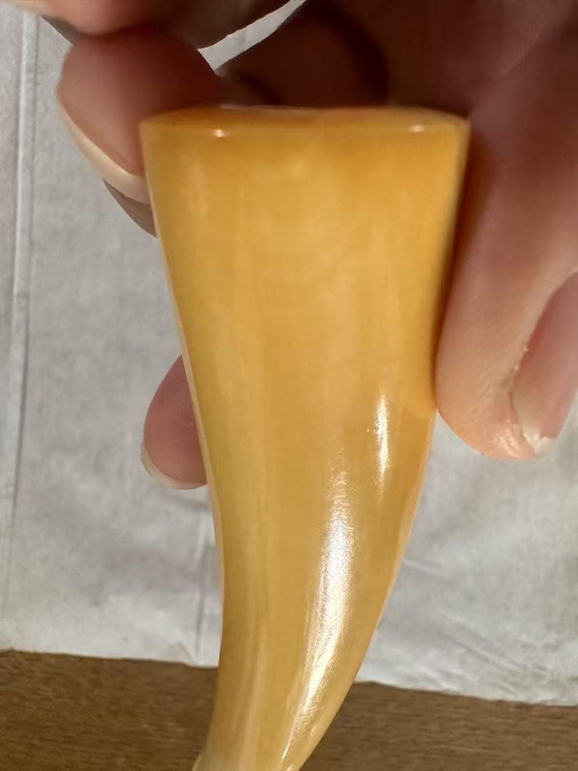 鯨歯 マッコウ鯨 牙 パイプ キセル 特大 56グラム