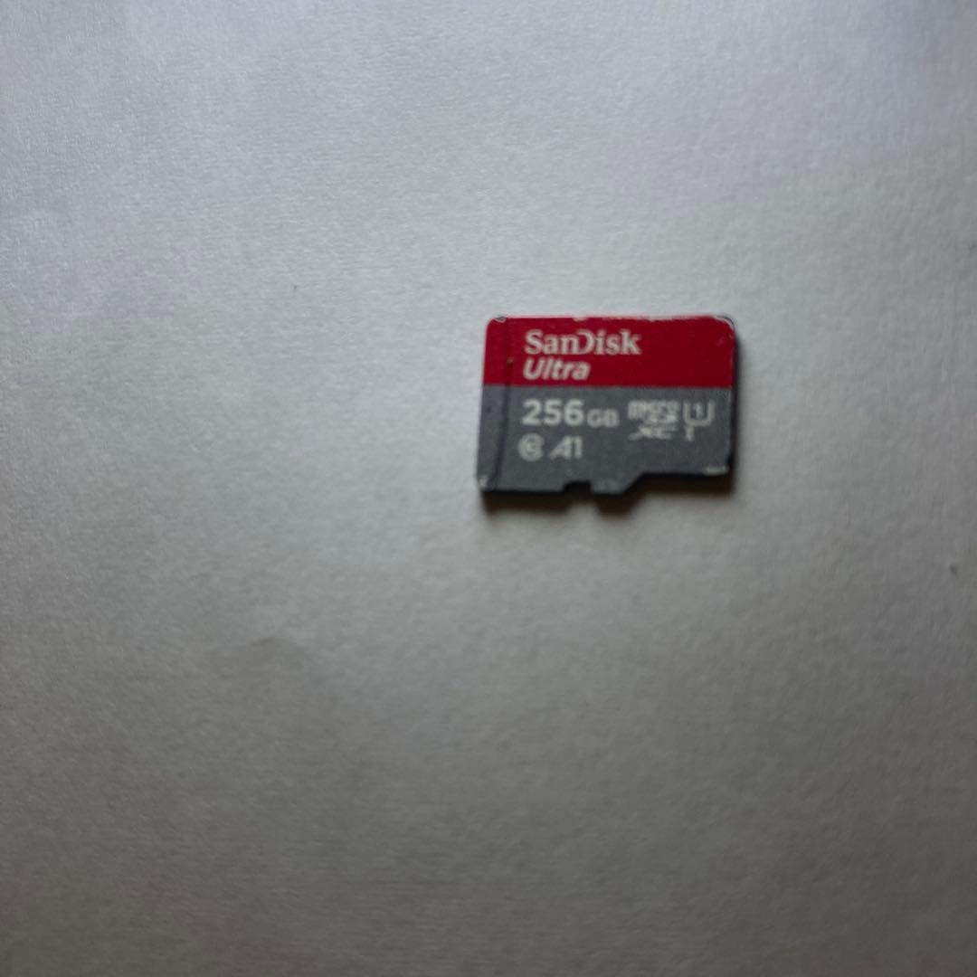 SHARP AQUOS パープル 本体 ケース付き