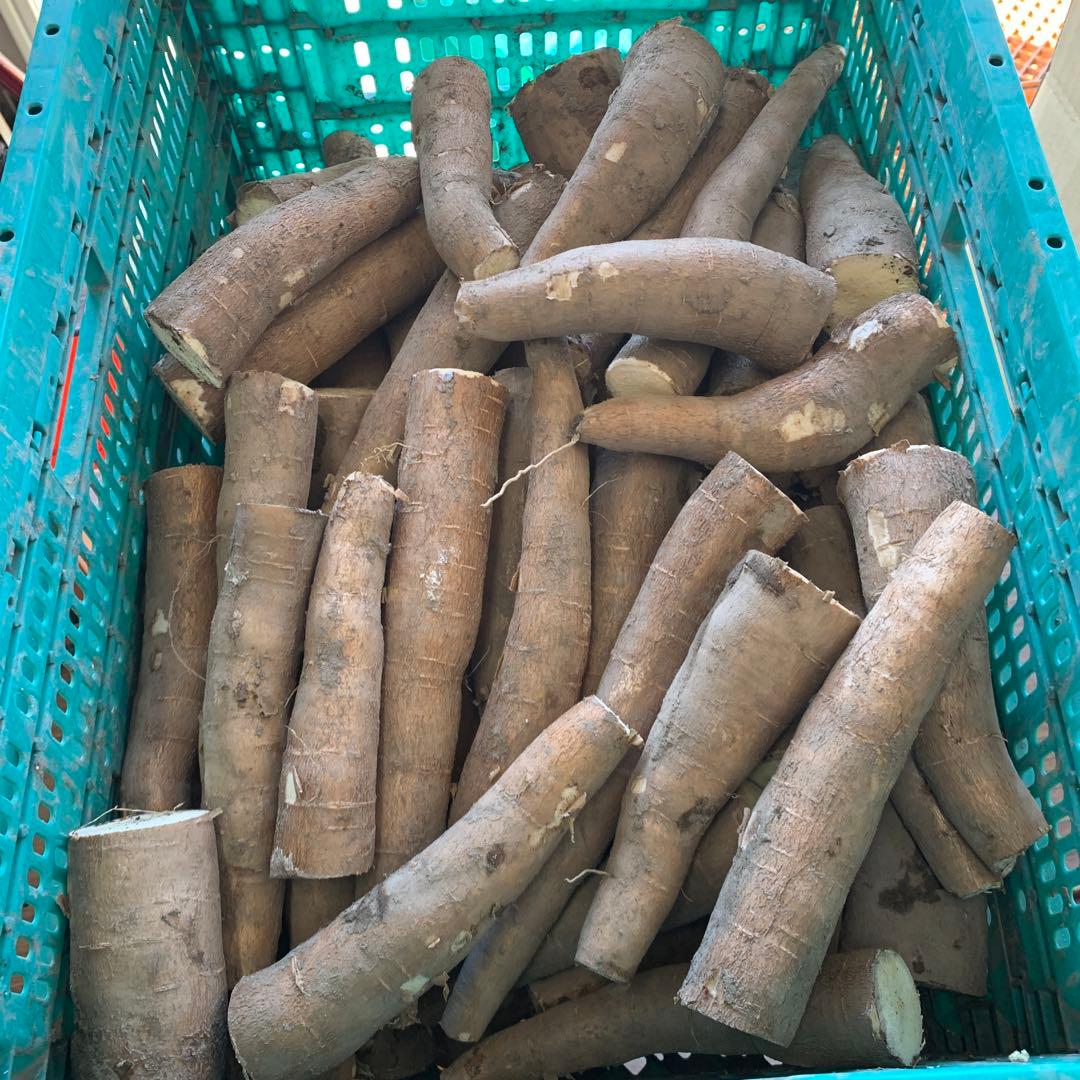 商品説明欄必読【訳アリ品SALE！】キャッサバ芋 20kg