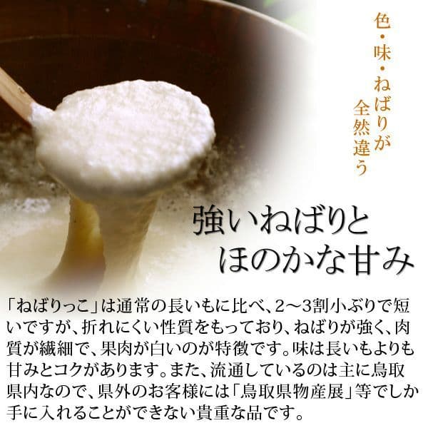 【濃厚な甘み！】ねばりっこ 20kg (規格外) ＋ むかご200g