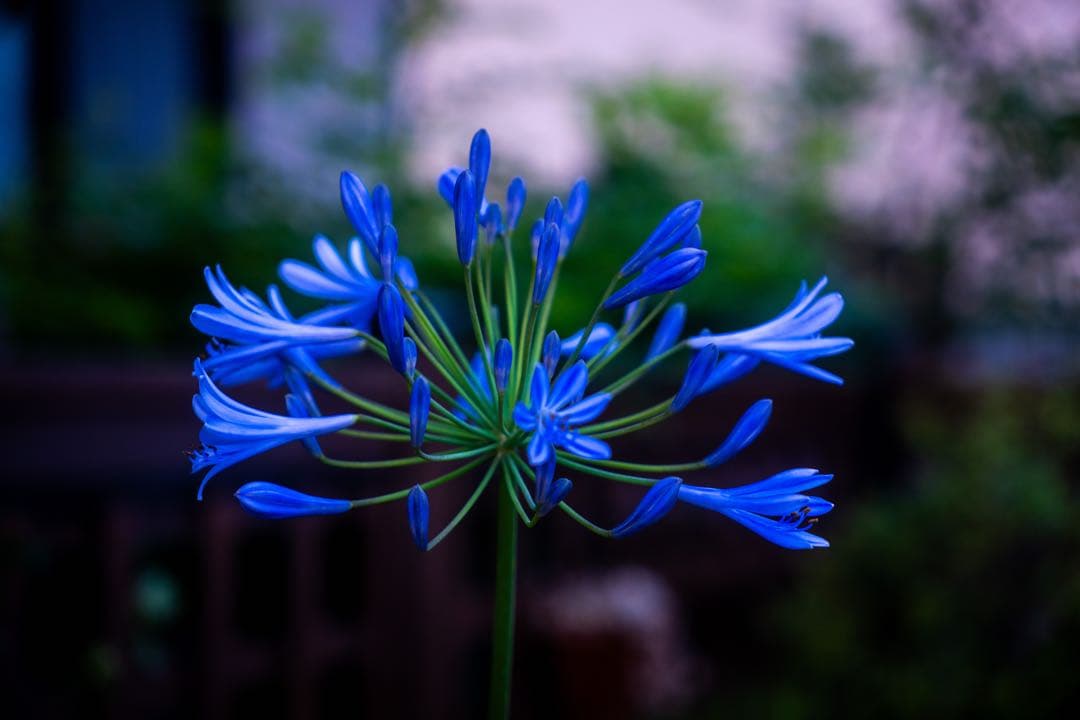 SIGMA 18-50mm F2.8 DC DN Eマウント用