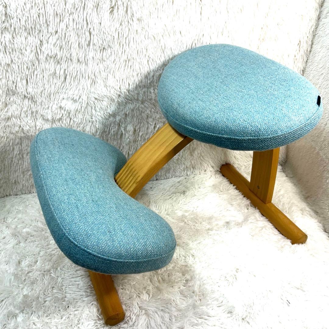 Rybo (サカモトハウス) リボ社 バランスイージー 姿勢矯正チェア