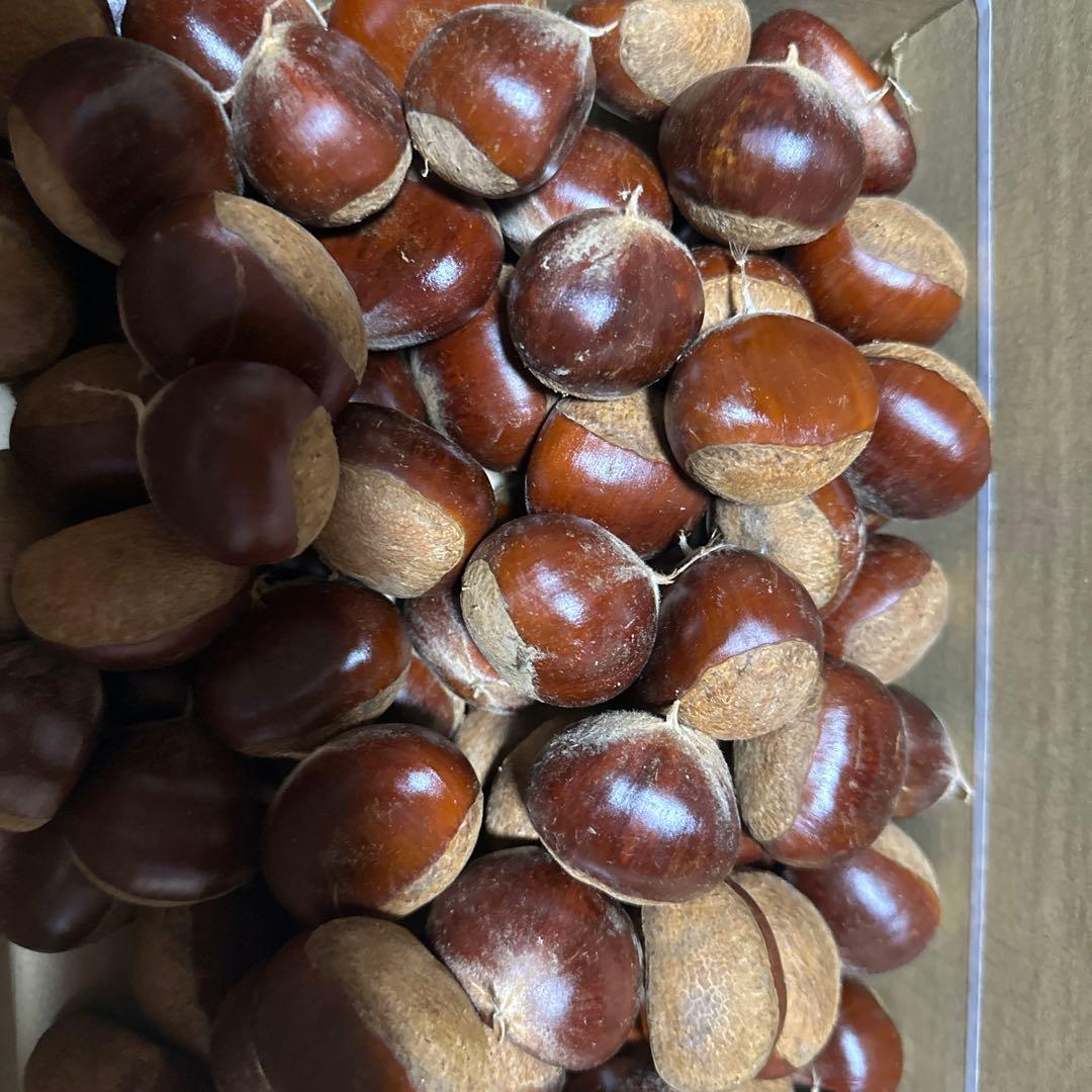 あーちゃんさん専用利平栗