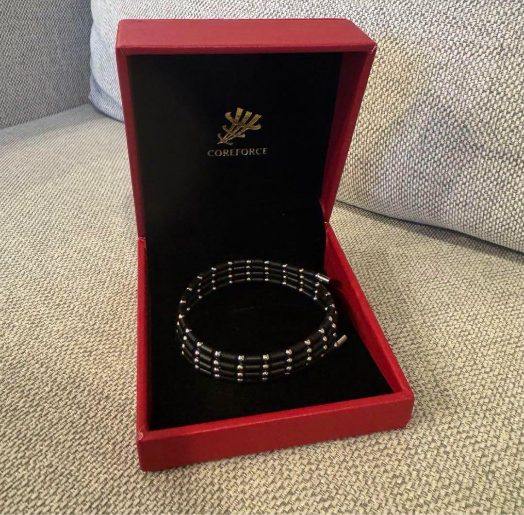 hideboy310 コアフォース ループ SUS CFL70