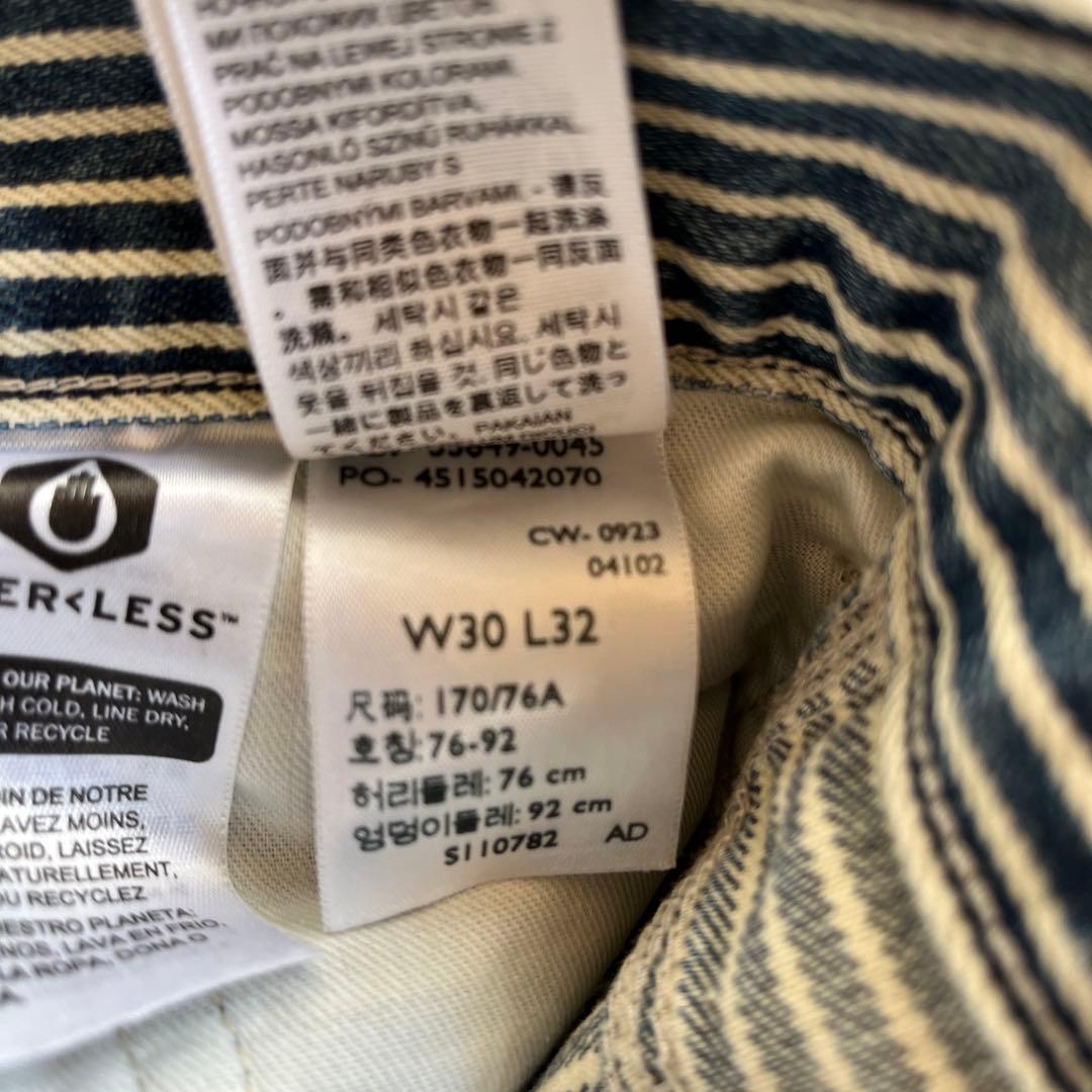 Levi's ヒッコリー ペインター ワークパンツ