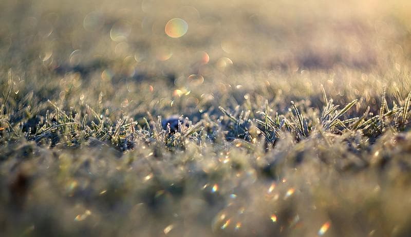 52 未使用　ぐるぐるボケレンズ　 ヘリオス　44-2　M42