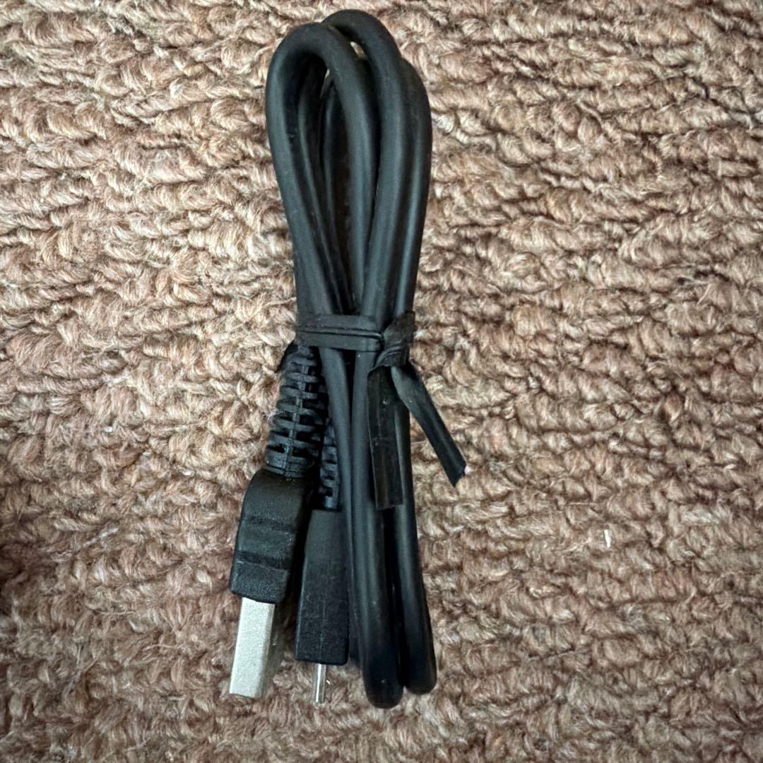 SONY WALKMAN ワイヤレスイヤホン　NW-WS625