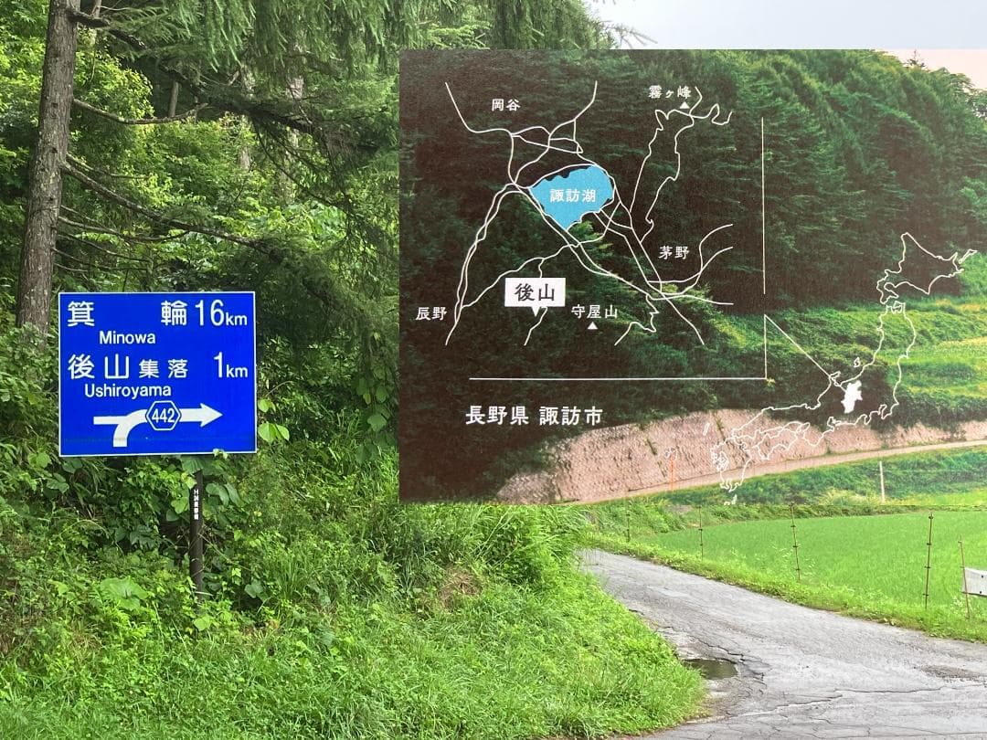 【再出】アカシア蜂蜜 1000g 2本 長野県産 国産蜂蜜 生蜂蜜 西洋蜜蜂a