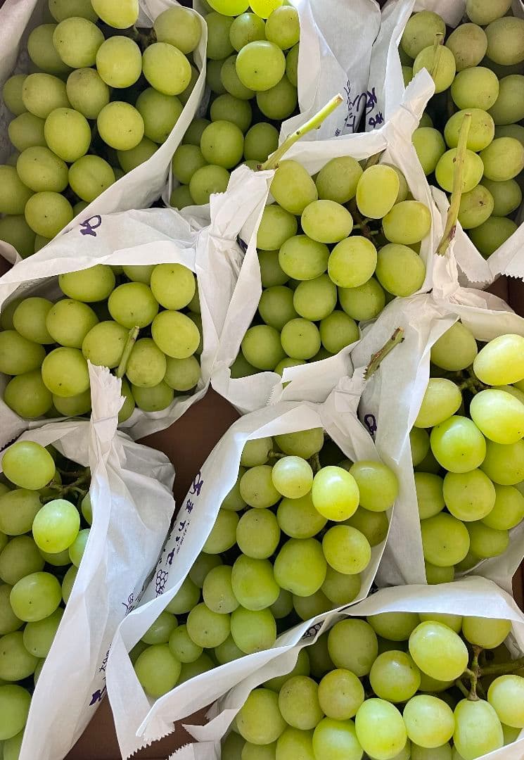 「専用」シャインマスカット10kg 2箱セット房入り 訳あり