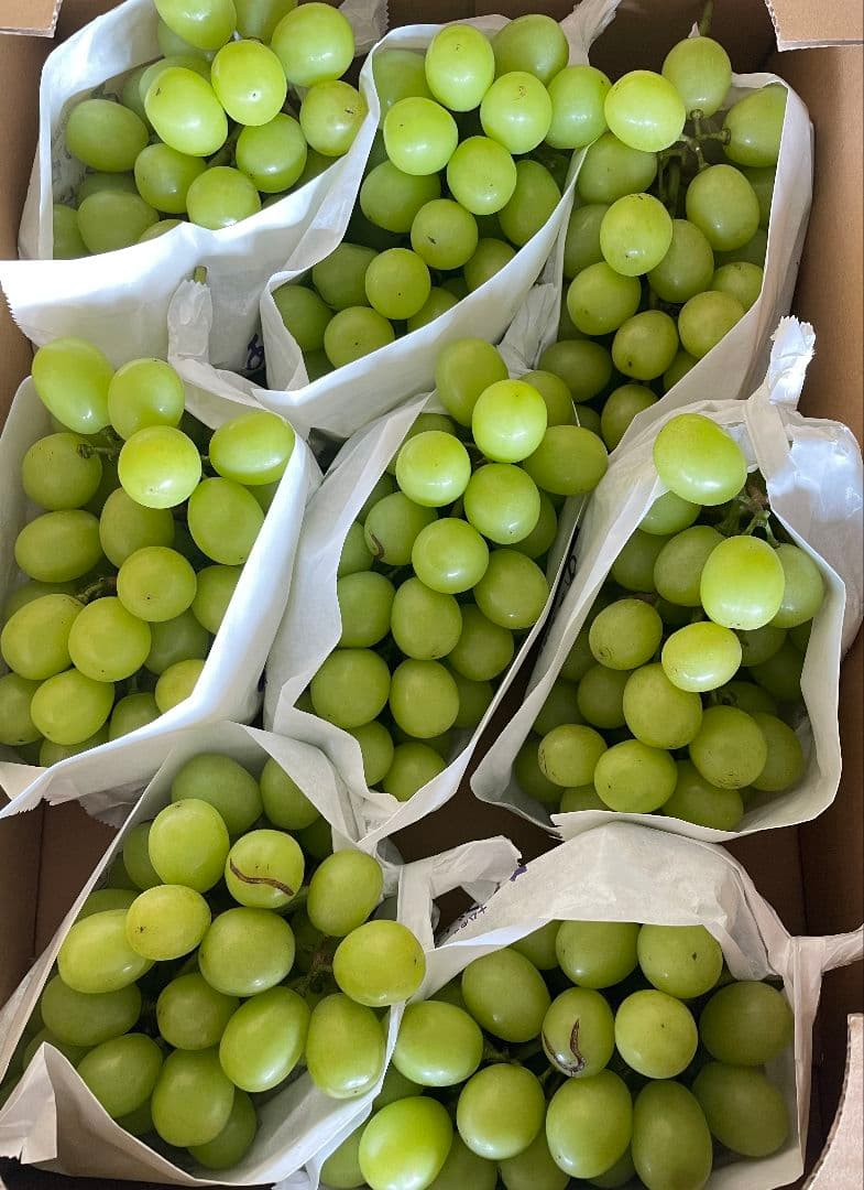 「専用」シャインマスカット10kg 2箱セット房入り 訳あり