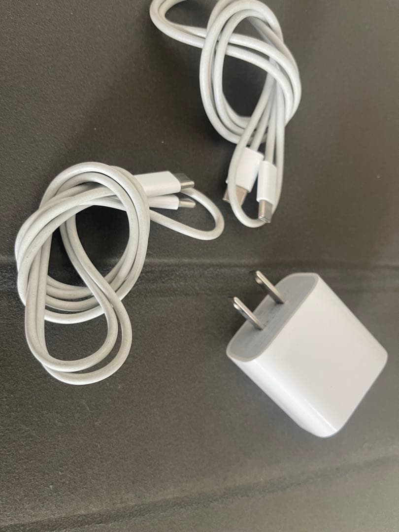 iPad Pro 12.9インチ 第4世代 Wi-Fi 256GB