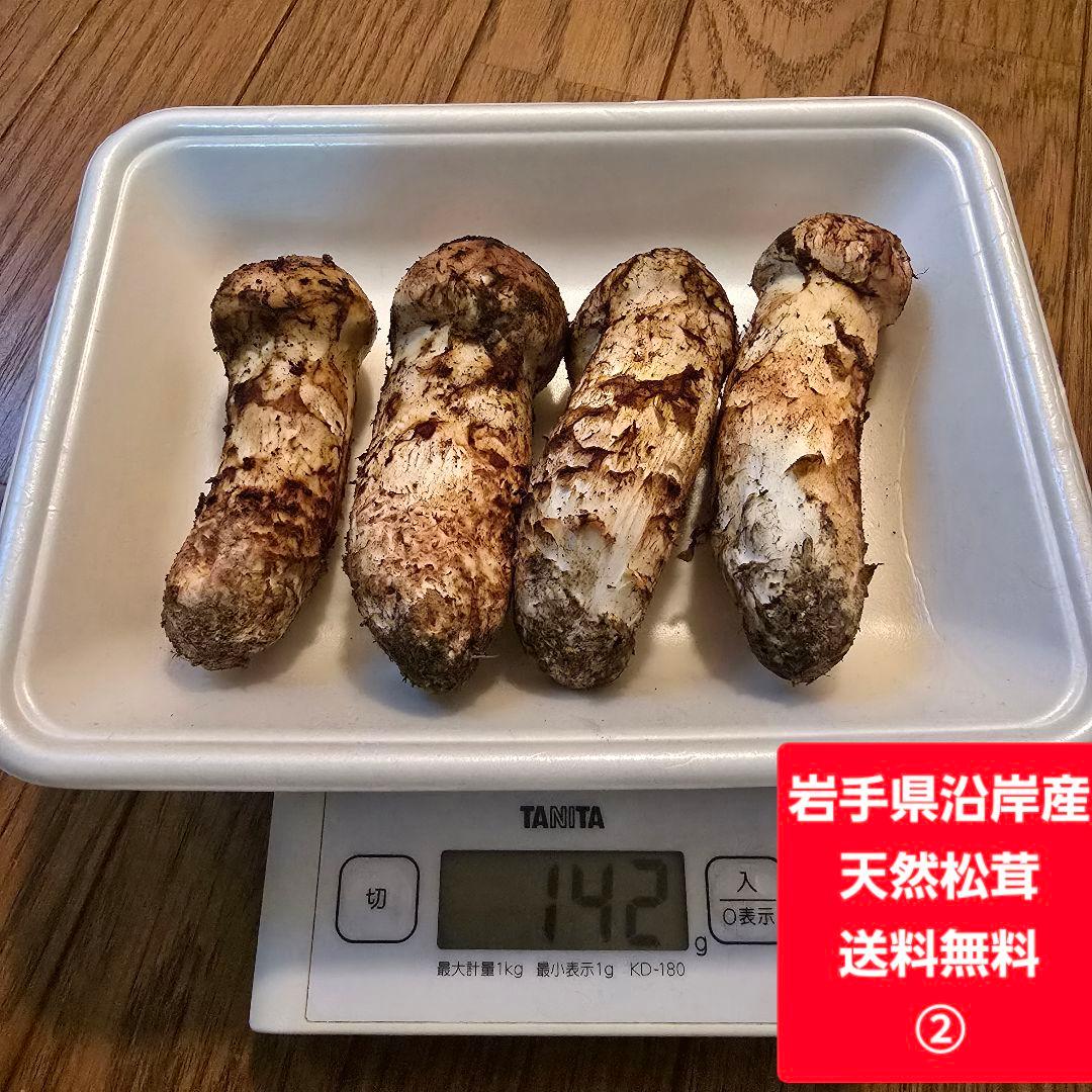 ②岩手県沿岸産 天然松茸【蕾】142ｇ 【本日限り送料無料‼️】