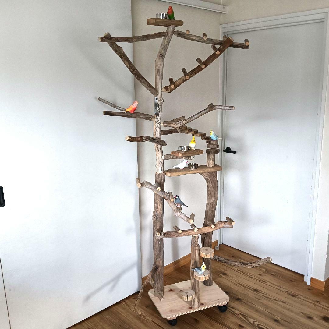 びぐ バードアスレチックジム大型 天然木 自然木 流木 インコ おもちゃ