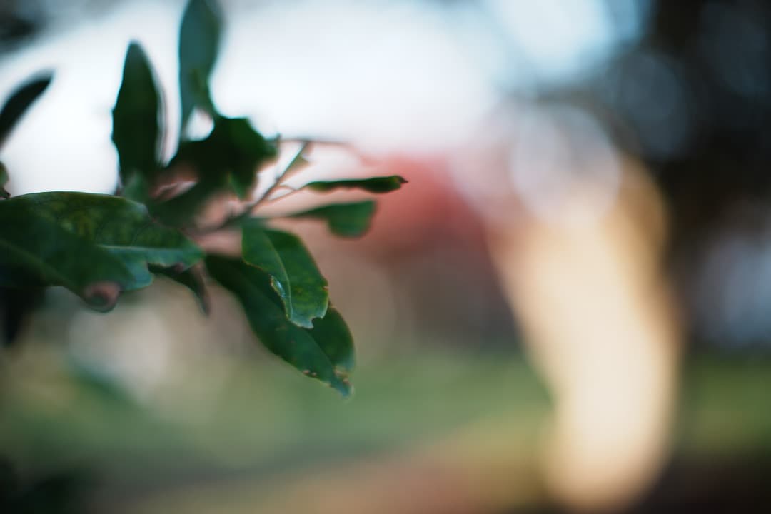 【極美品】動作◎ SMC PENTAX 50mm F1.2 126