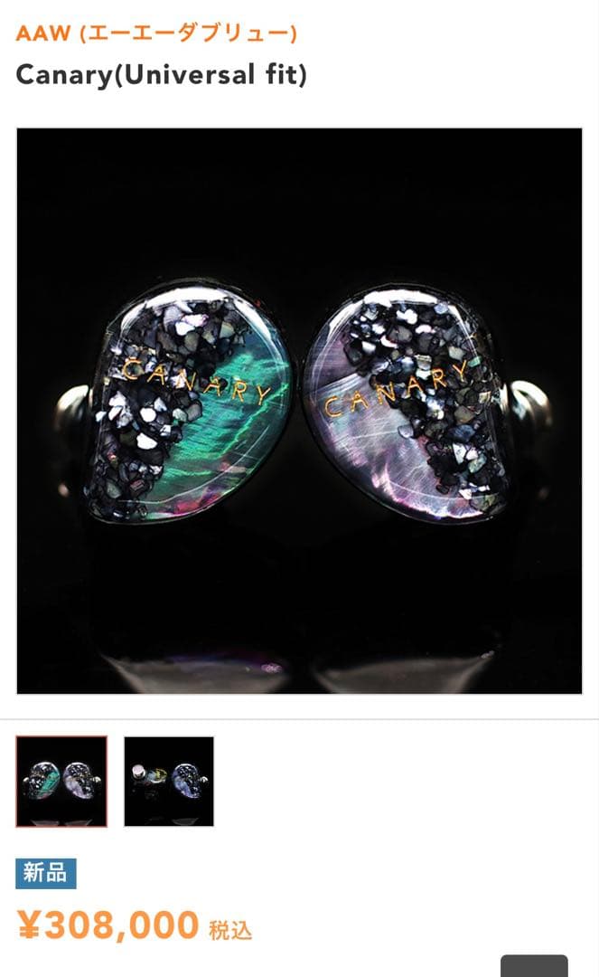 N*1様 AAW canary 専用ケース付き