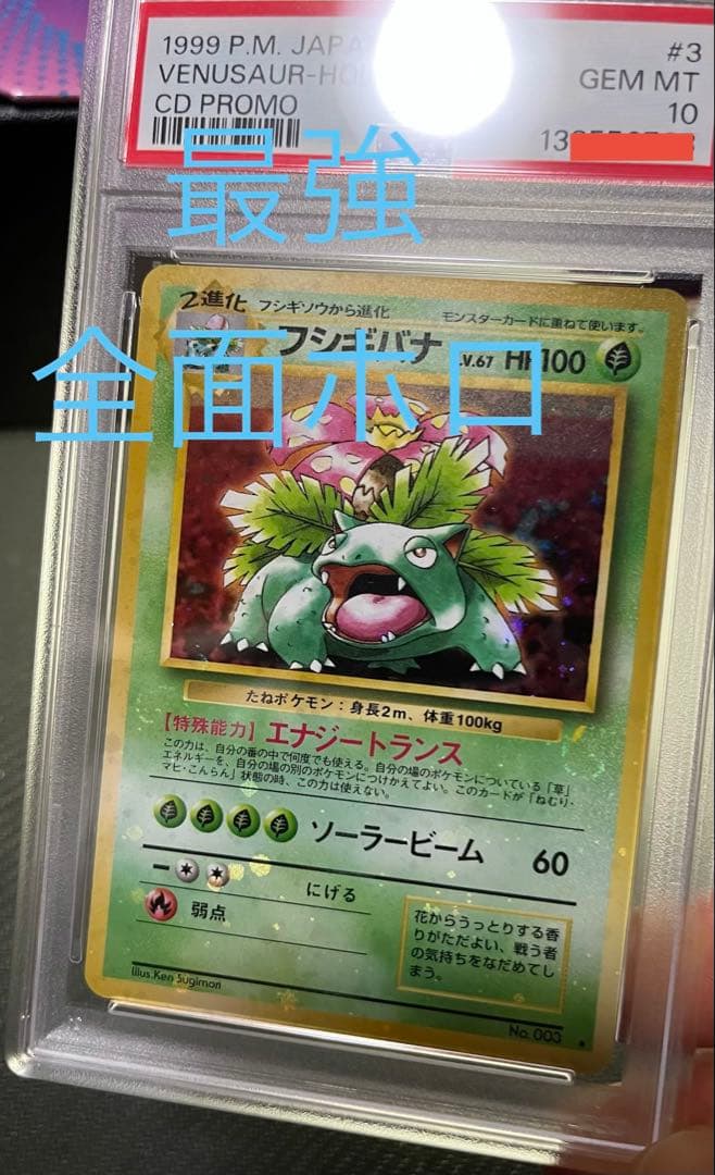 フジギバナ　旧裏　psa10