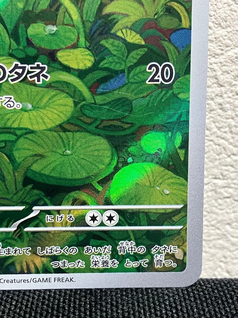 週末値引き【美品】　フシギバナ　SAR フシギソウ　フシギダネ SV2a 151