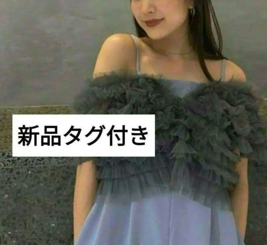 【新品タグ付き】tulle vest all in one dress M