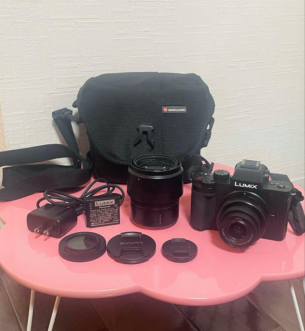 Panasonic LUMIX G100 DC-G100 ダブルズームキット