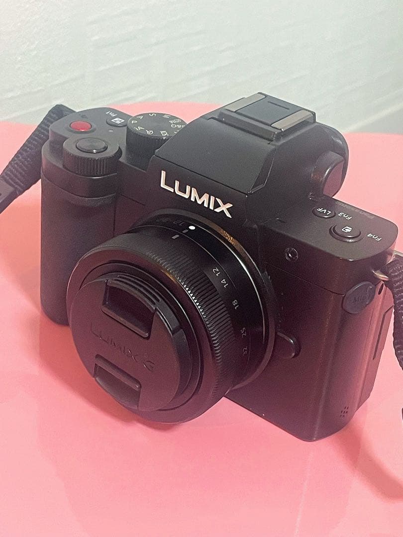 Panasonic LUMIX G100 DC-G100 ダブルズームキット