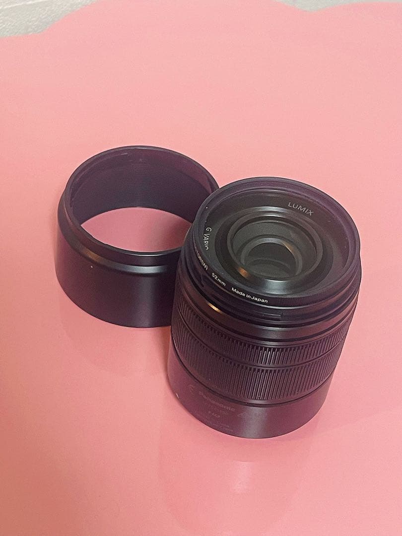 Panasonic LUMIX G100 DC-G100 ダブルズームキット