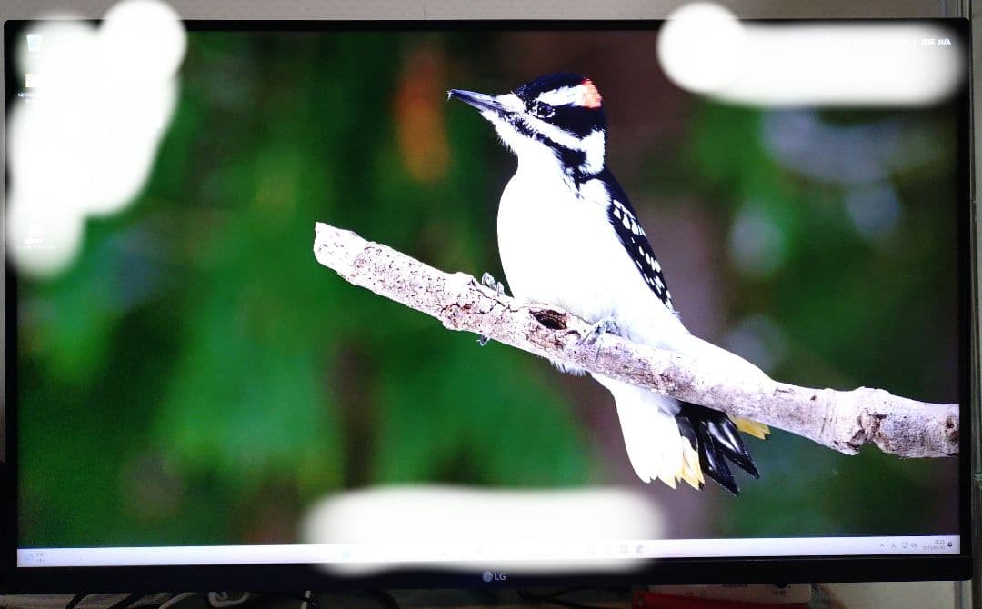 LG モニター ディスプレイ 32UQ750-W