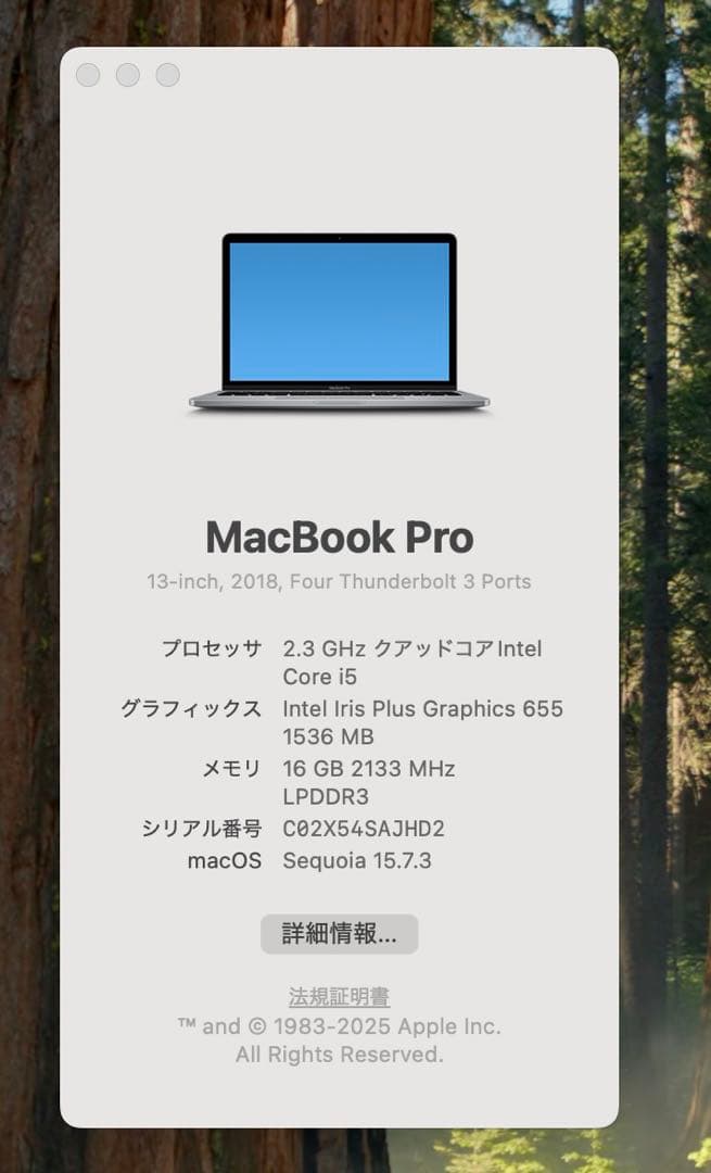 MacBook本体 Apple MacBook Pro 13 2018 i5/16GB/250Gb