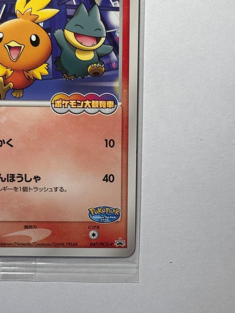 未開封　ポケパークのアチャモ　ポケモンカード