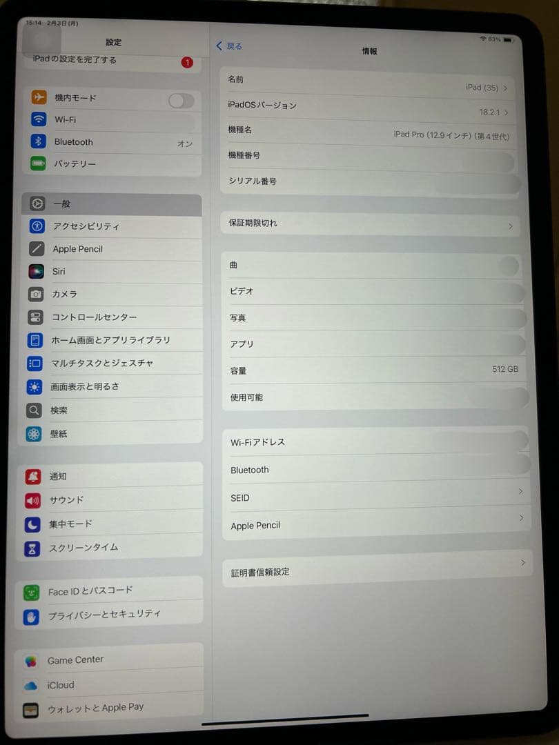 iPad Pro本体13インチ 512GB【箱つき】