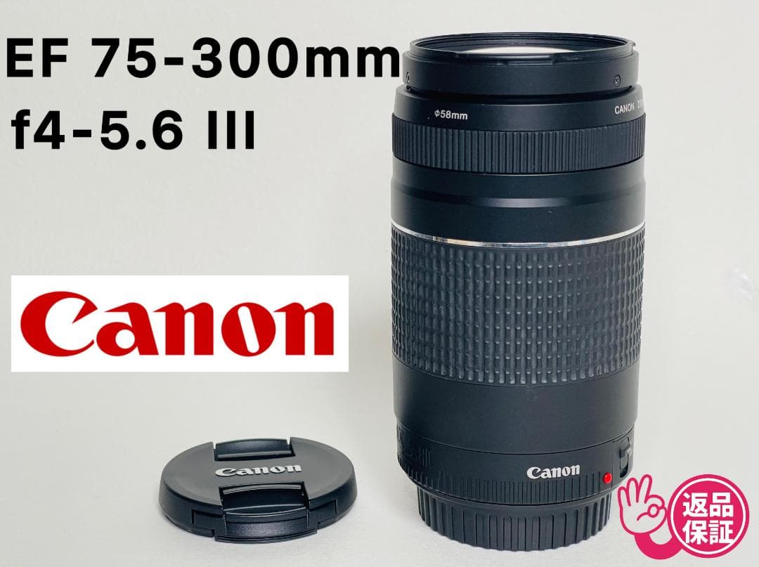 【完動品】 Canon EF 75-300mm F4-5.6 III 望遠レンズ