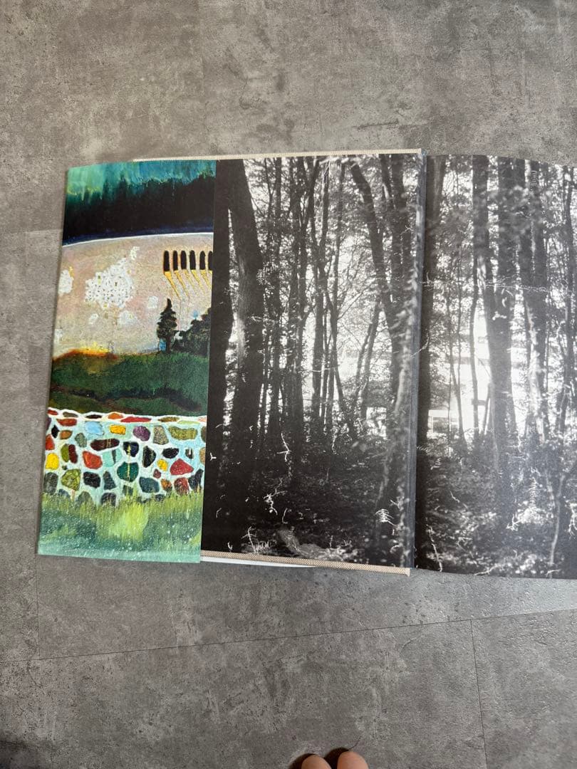 Peter Doig (Rizzoli Classics) ピーター・ドイグ