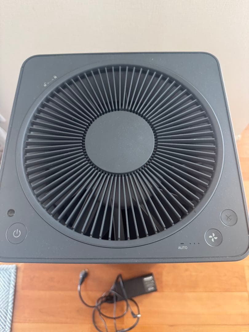 ⭐️美品⭐️バルミューダ 空気清浄機 The Pure A01A-GR