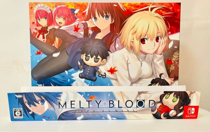 ニンテンドー3DS/2DS Kapi