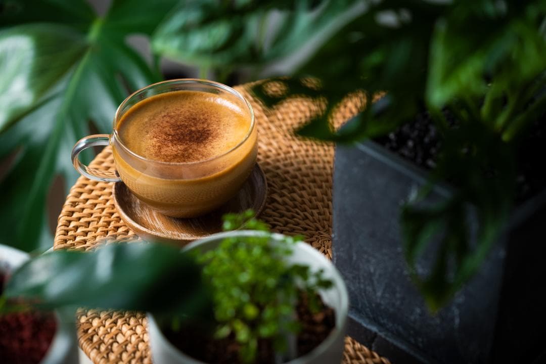 レンズ(単焦点) SONY FE 90mm F2.8 Macro G OSS