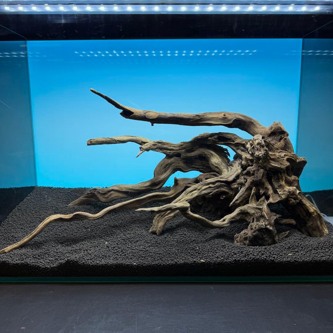 MSRW-6813 スリムウッドレイアウトセット　60cm水槽用流木アクアリウム
