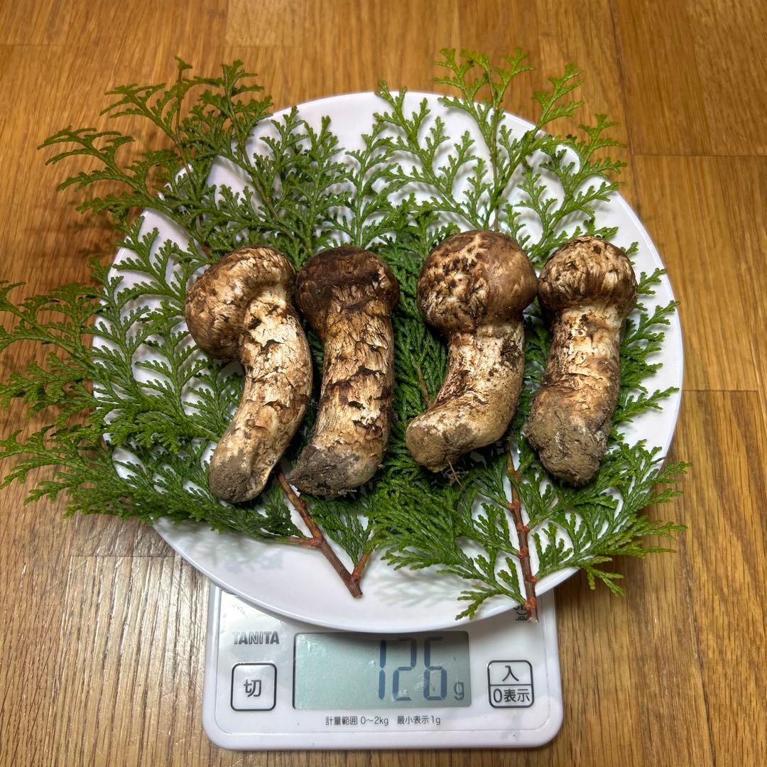 岩手県産松茸 126ｇ